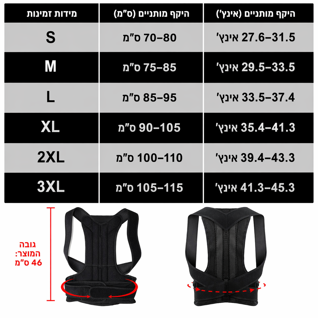 אורטו-גב הפתרון לגב שלך